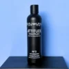 Attitude Holyplex No.2 Nourishing Conditioner