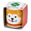 Lucky Plant - Hachi Dog