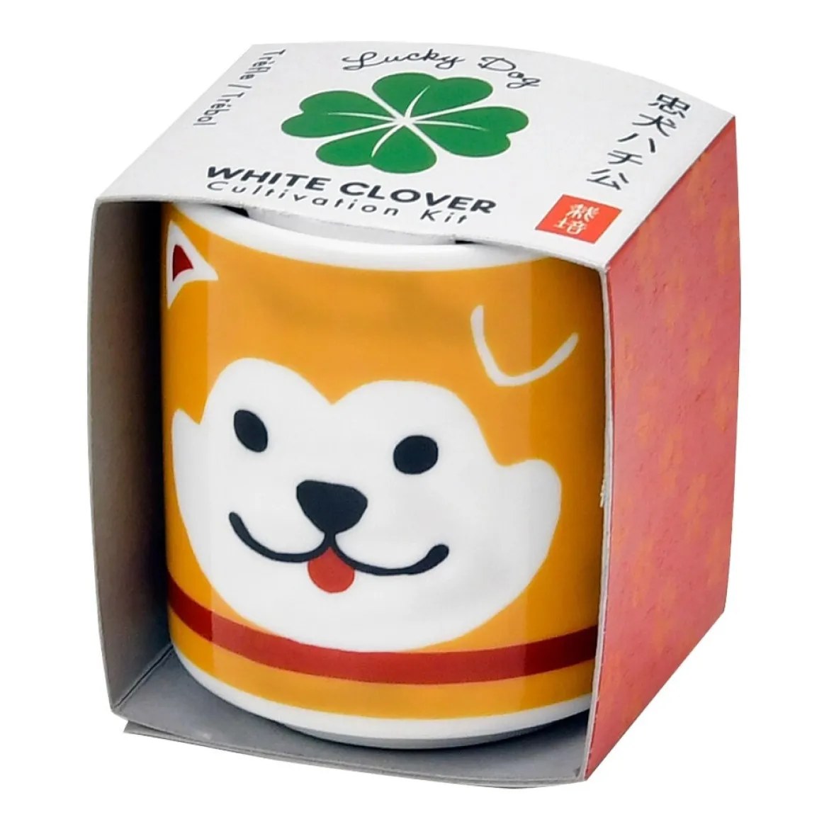 Lucky Plant - Hachi Dog