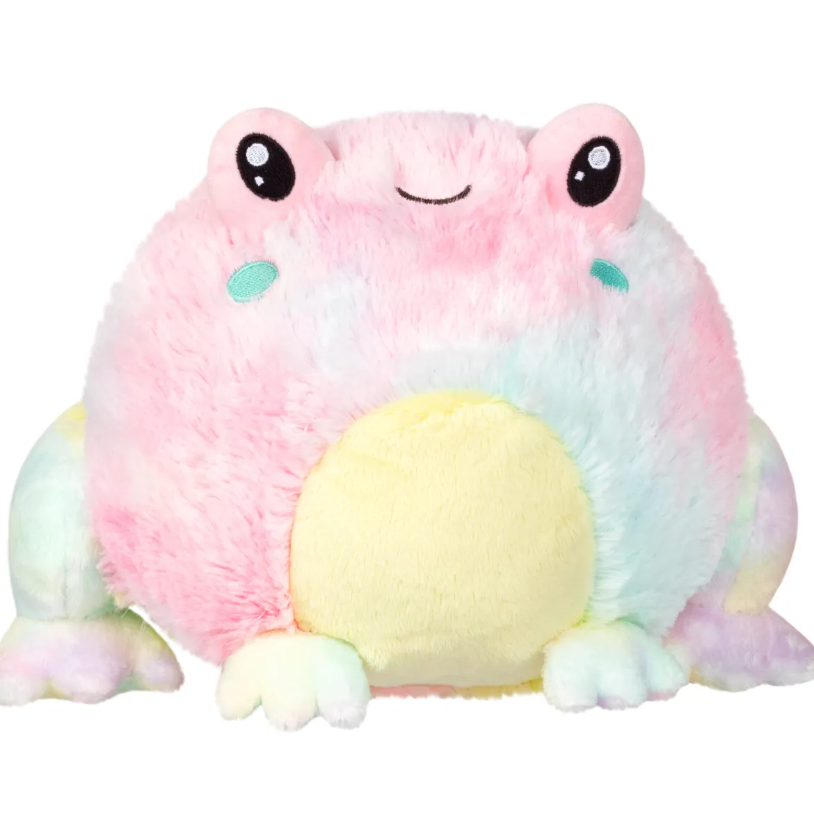 Mini Squishable Tie Dye Frog