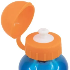 Pokémon aluminiumflaska 530 ml