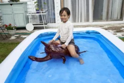 Pool Float Kabutomushi Beetle