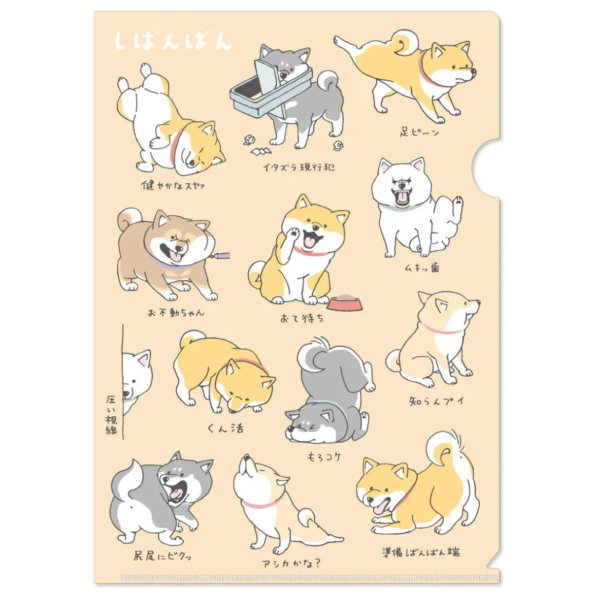 Shibanban A4 Clear File - Casual Days