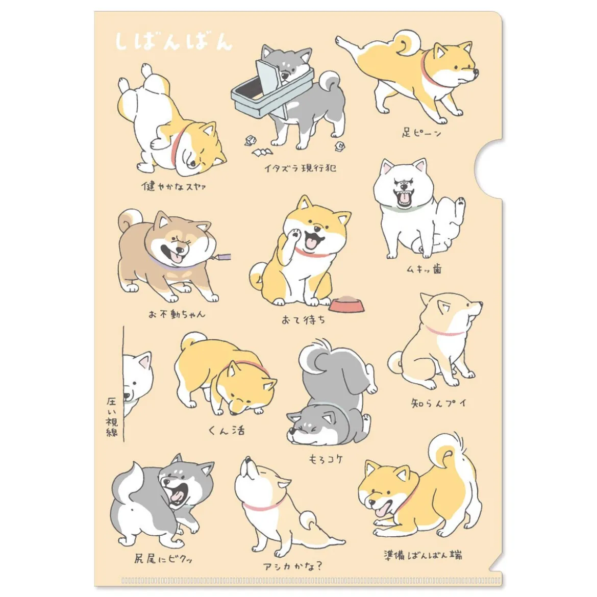 Shibanban A4 Clear File - Casual Days