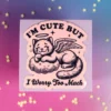 Stor sticker - I worry too much